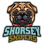 Shorsey Snipers