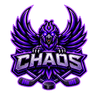 Chaos