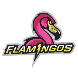 Flamingos