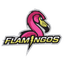 Flamingos
