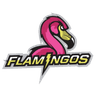 Flamingos