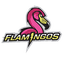 FLM