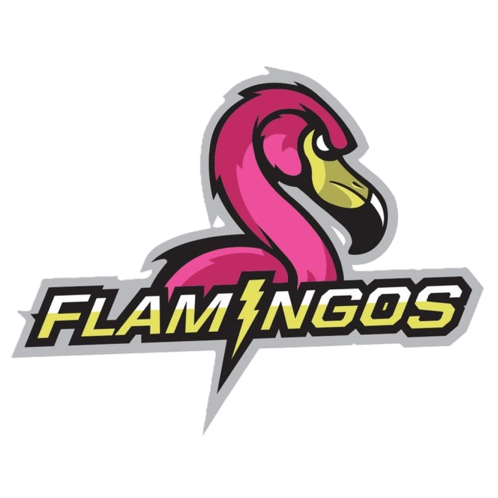 Flamingos
