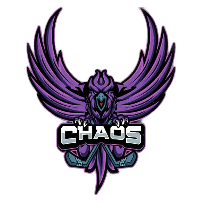 Chaos