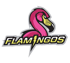 Flamingos